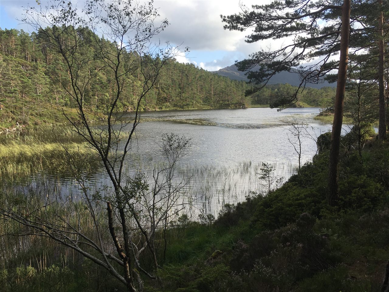 Steinsåsvatnet